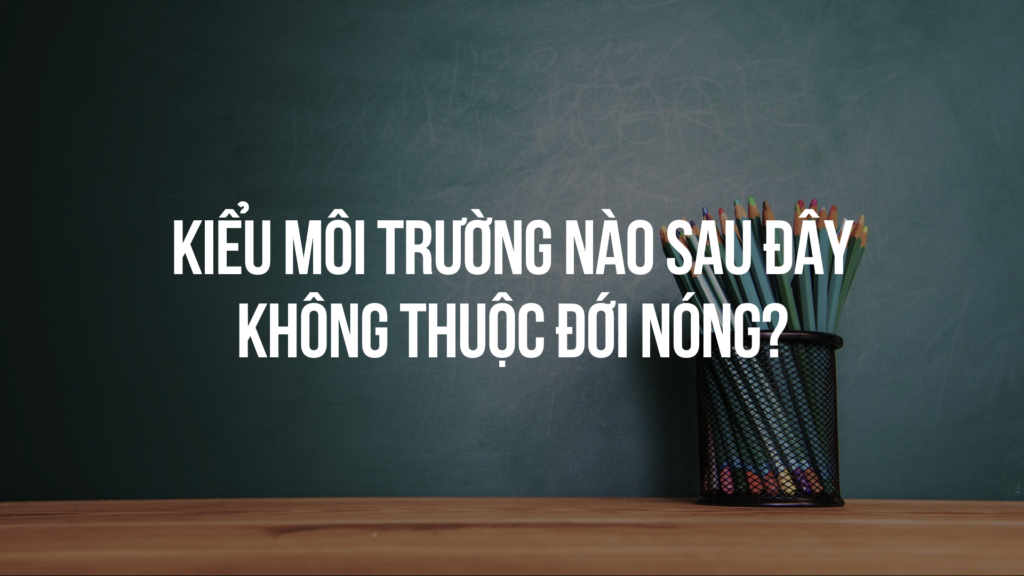 Kiểu môi trường nào sau đây không thuộc đới nóng?