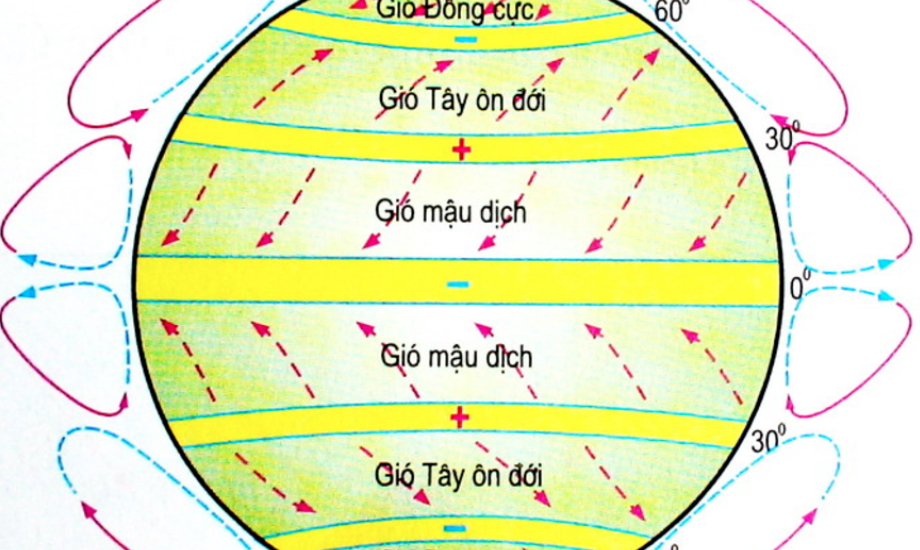 Kiểu môi trường nào sau đây không thuộc đới nóng?