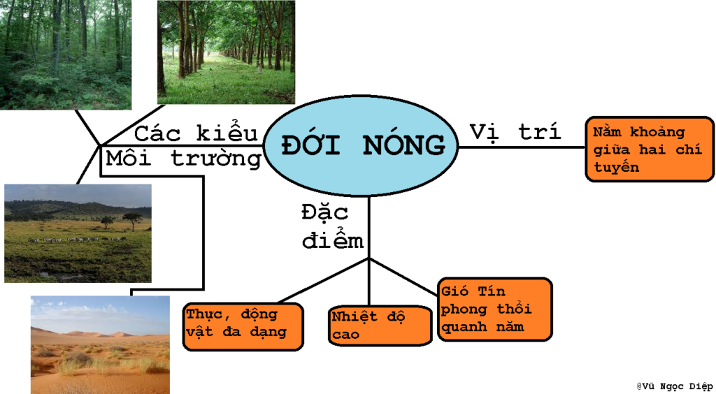 Đặc điểm chi tiết của môi trường không thuộc đới nóng