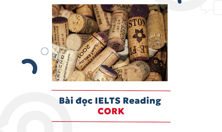 Cách trả lời các câu hỏi ở đoạn văn Cork của sách IELTS Reading Practice Test