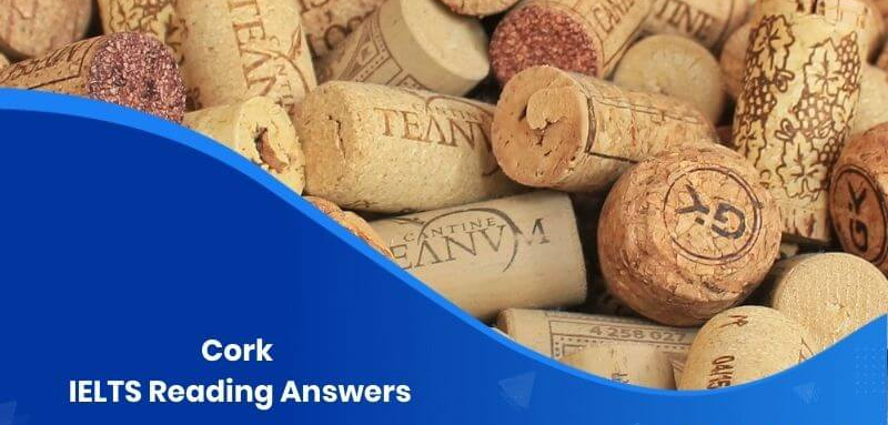 Các Loại Câu Hỏi Thường Gặp Về Đoạn Văn Cork